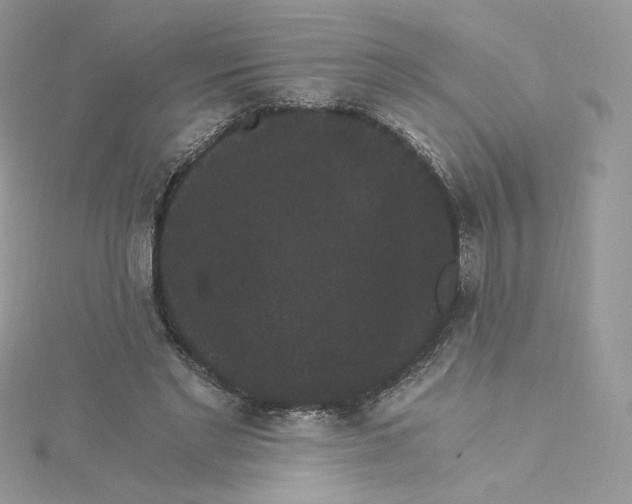 X0000114520493200911161319