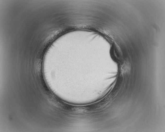 X0000114520495200911161319