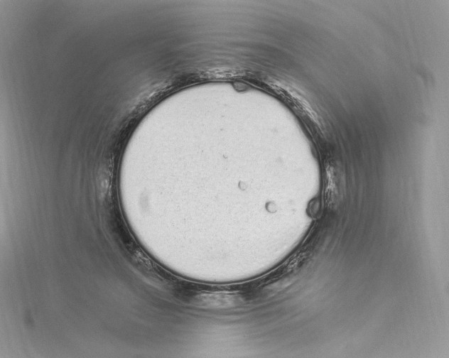 X0000114520499200911161319