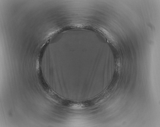 X0000114520500200911161319