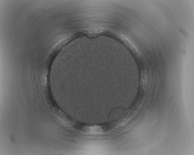 X0000114520501200911161319