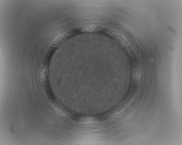 X0000114520503200911161319