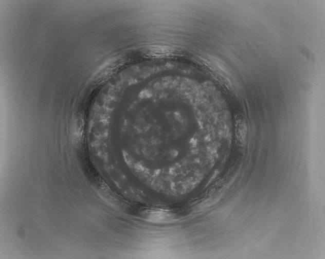 X0000114520507200911161319