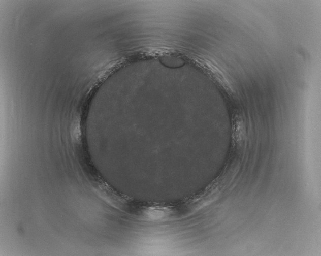 X0000114520508200911161319