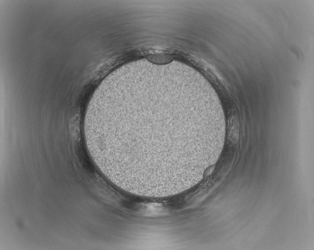 X0000114520509200911161319