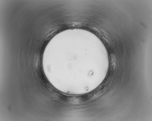 X0000114520511200911161319