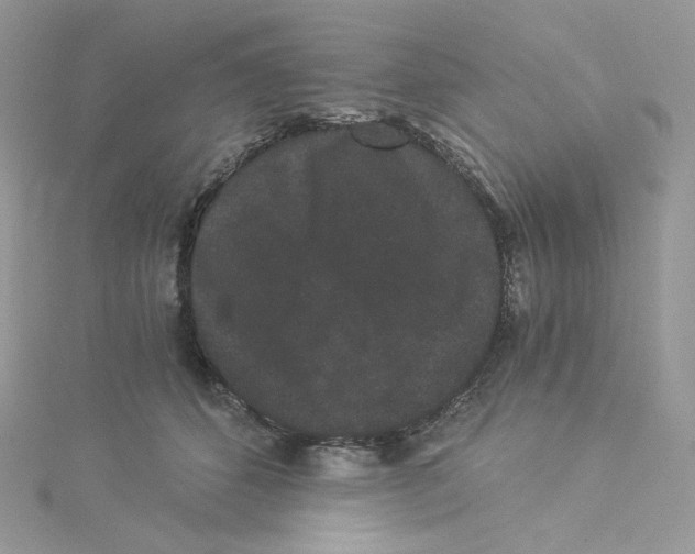 X0000114520512200911161319