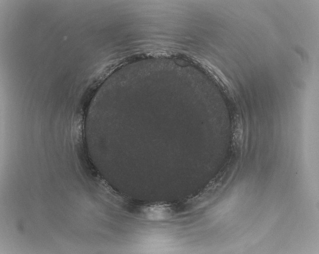 X0000114520513200911161319