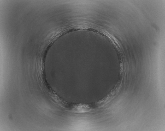 X0000114520517200911161319