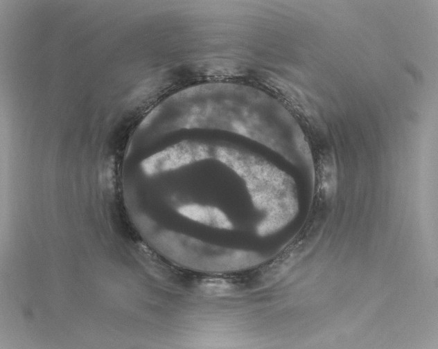 X0000114520519200911161319