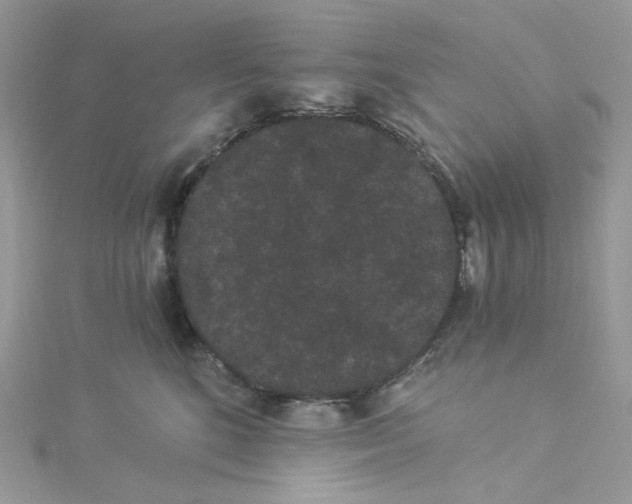 X0000114520520200911161319