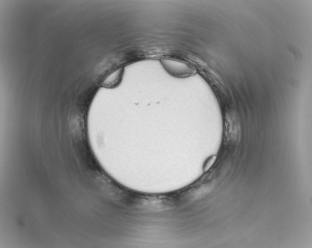 X0000114520523200911161319