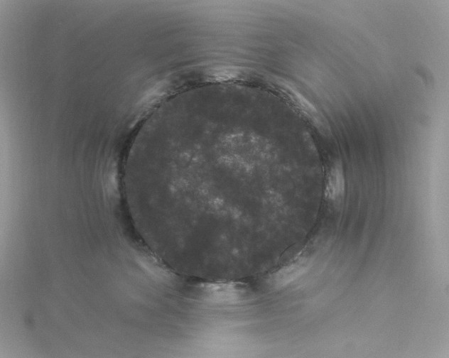 X0000114520524200911161319