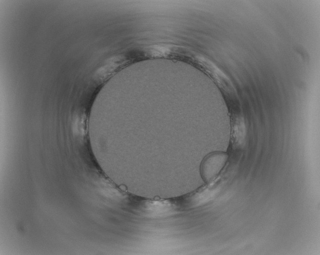 X0000114520525200911161319