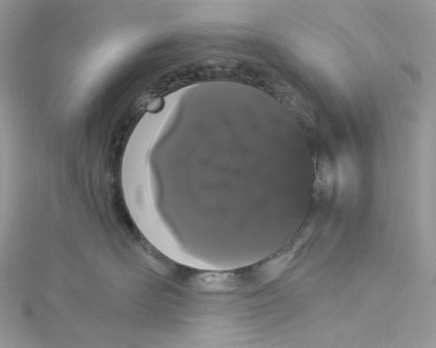 X0000114520526200911161319