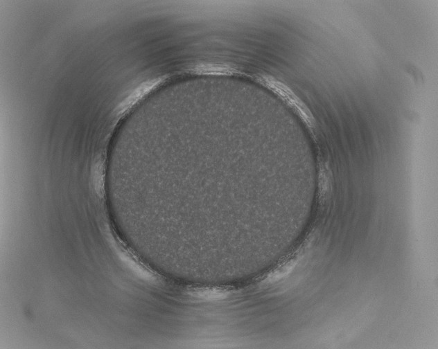 X0000114520533200911161318