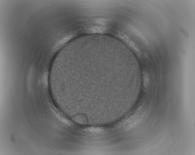 X0000114520537200911161318