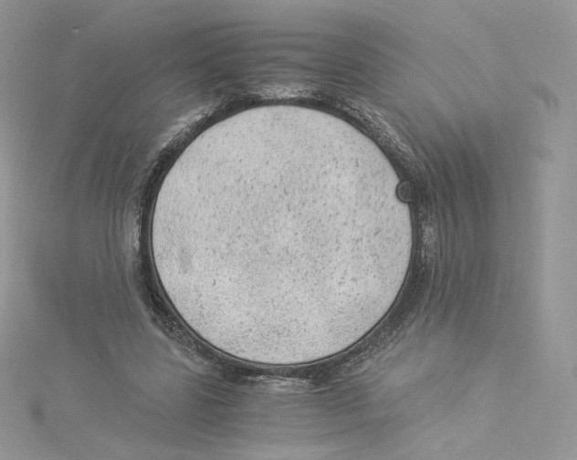 X0000114520539200911161318