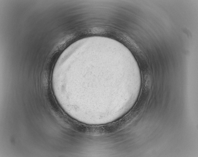 X0000114520542200911161318