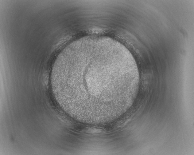 X0000114520545200911161318