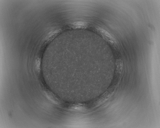 X0000114520550200911161318