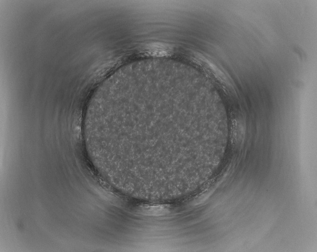 X0000114520553200911161318