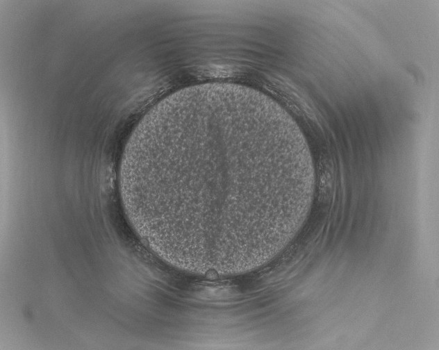 X0000114520555200911161319