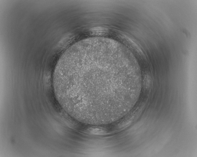 X0000114520557200911161319