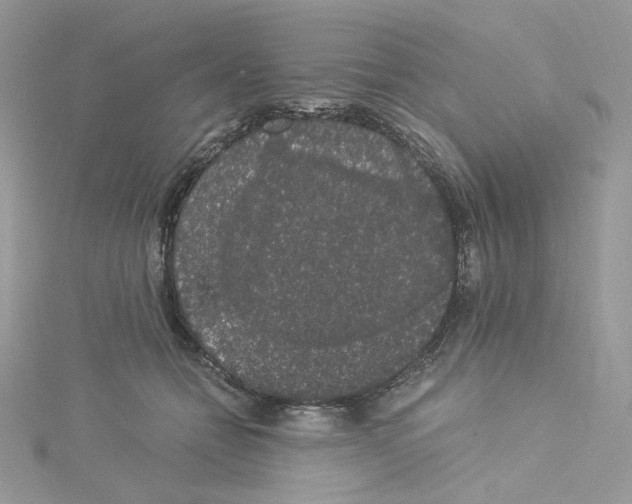 X0000114520558200911161319