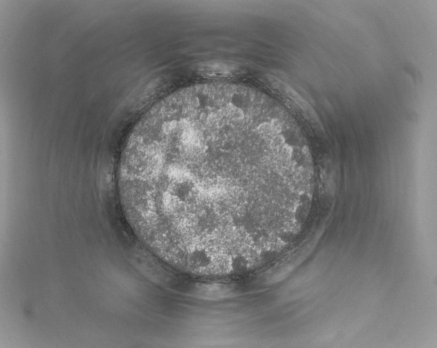 X0000114520561200911161319