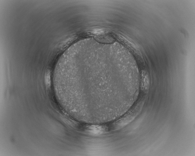 X0000114520562200911161319