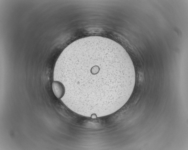 X0000114520567200911161319