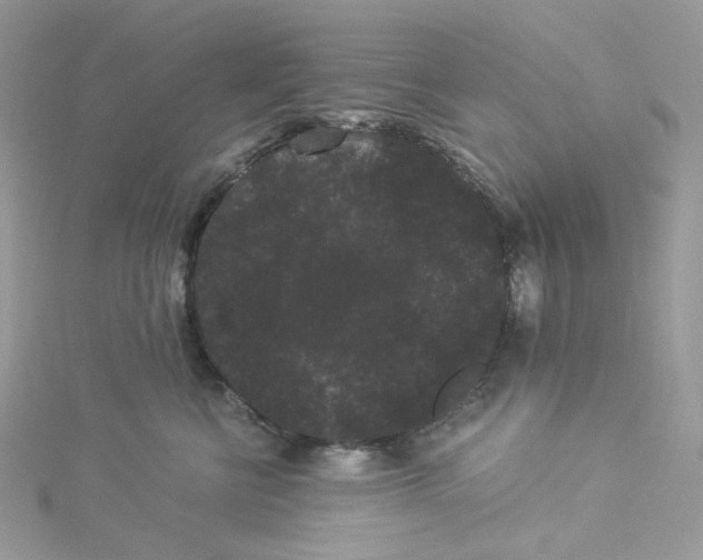 X0000114520570200911161319