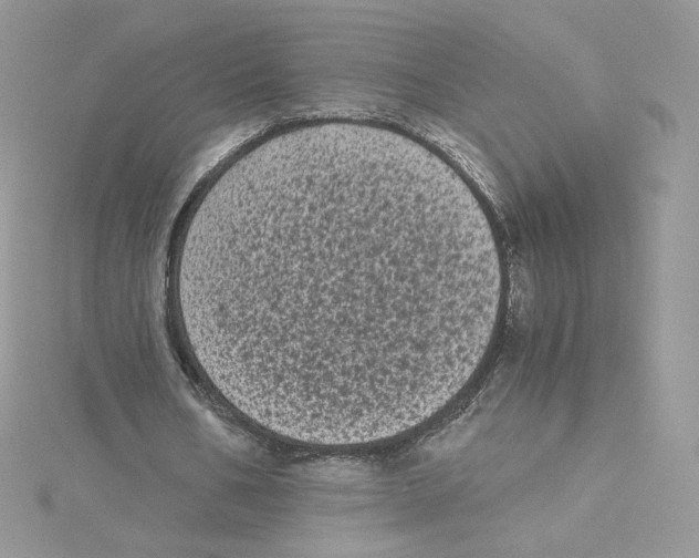 X0000114520578200911161318