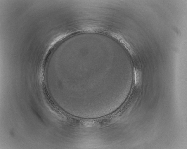 X0000114520579200911161318