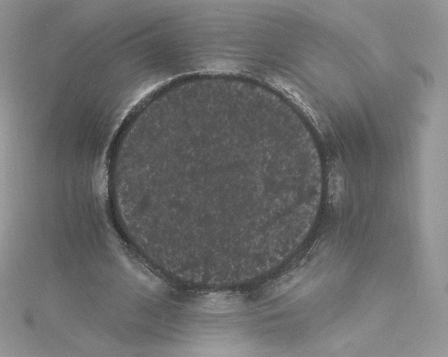 X0000114520584200911161318