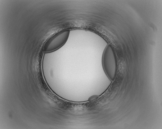 X0000114520587200911161318