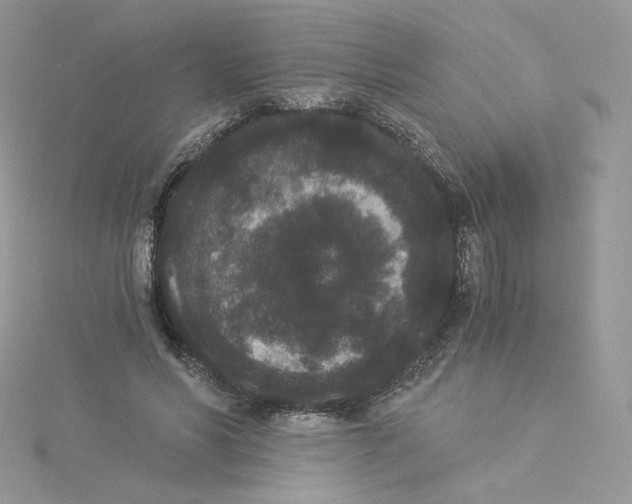 X0000114520590200911161318