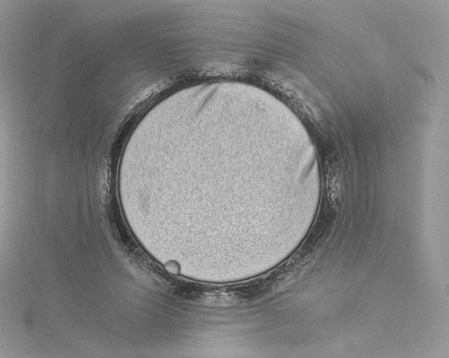 X0000114520591200911161318