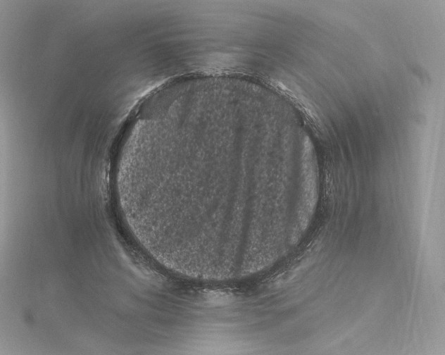 X0000114520592200911161318