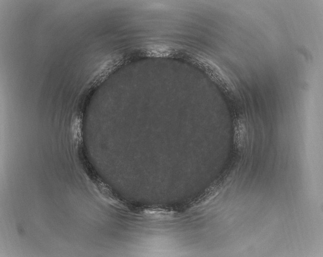 X0000114520598200911161318