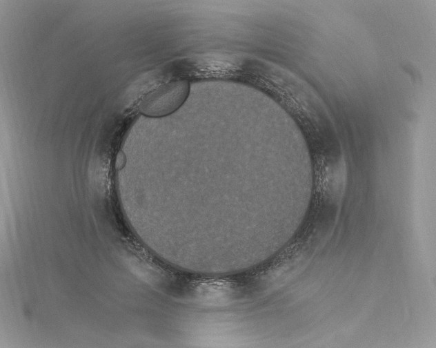 X0000114520599200911161318