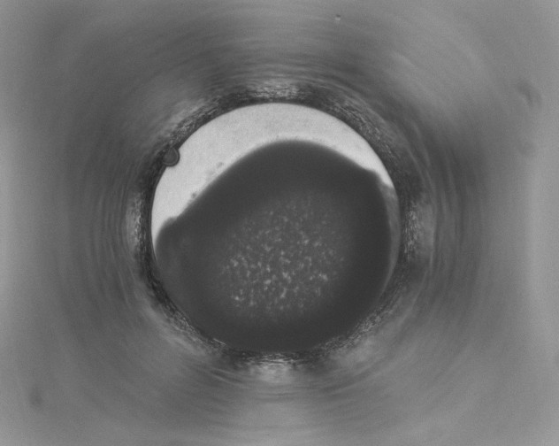 X0000114520600200911161318