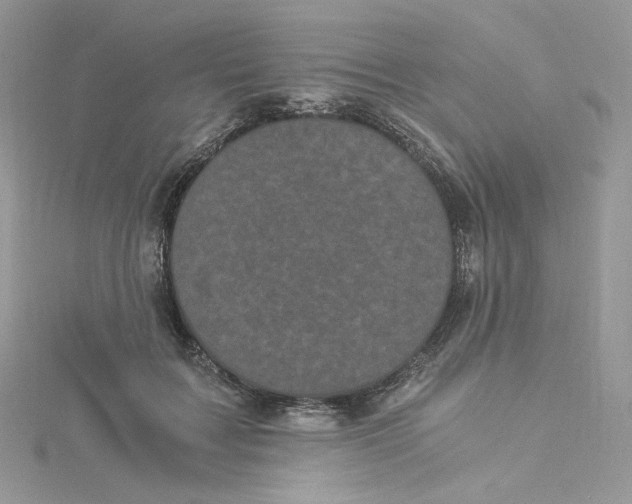 X0000114520603200911161318