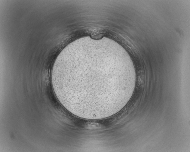 X0000114520605200911161318