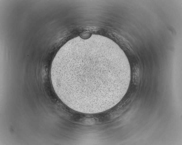 X0000114520608200911161318