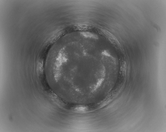 X0000114520610200911161318