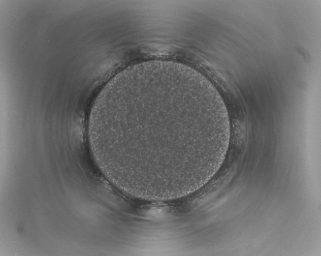 X0000114520612200911161318