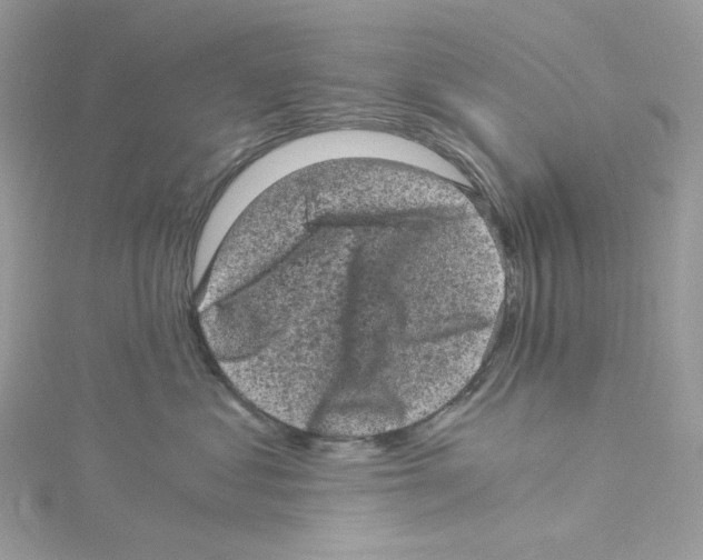 X0000114520621200911161317