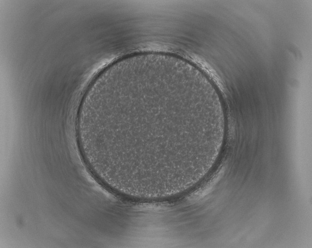 X0000114520625200911161317